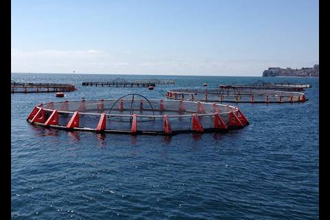 Fish farm visit